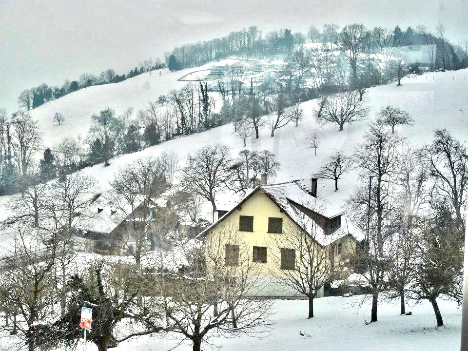 weggis town at base of mt. rigi